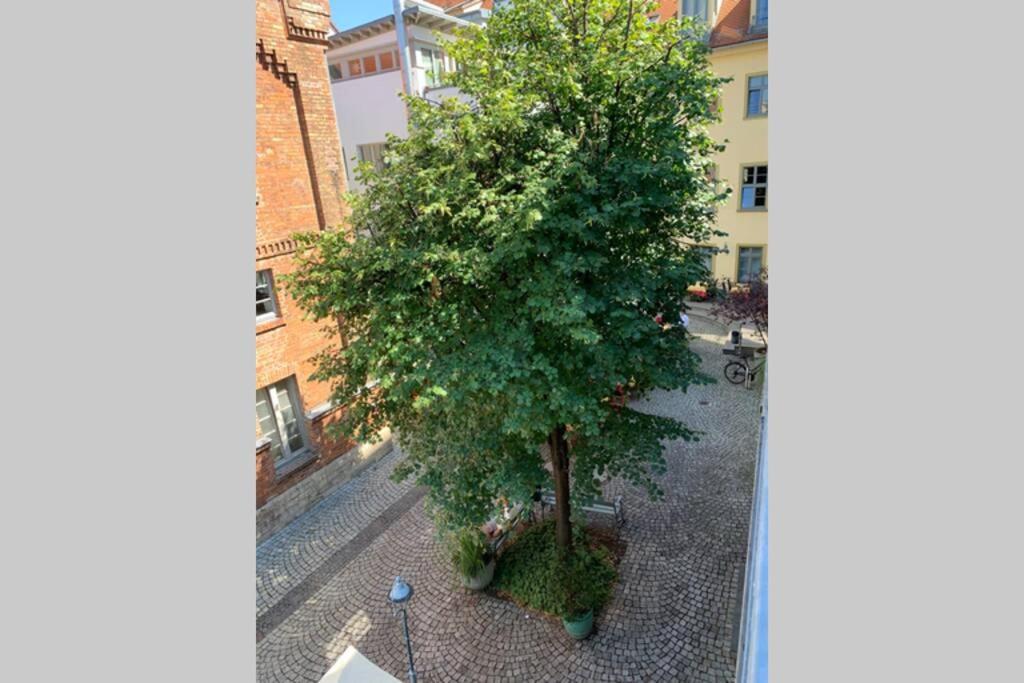 Altstadt, Fewo Im Markthof Am Dom Erfurt Eksteriør billede